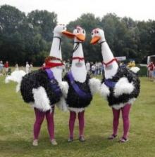 Three giant fun emus